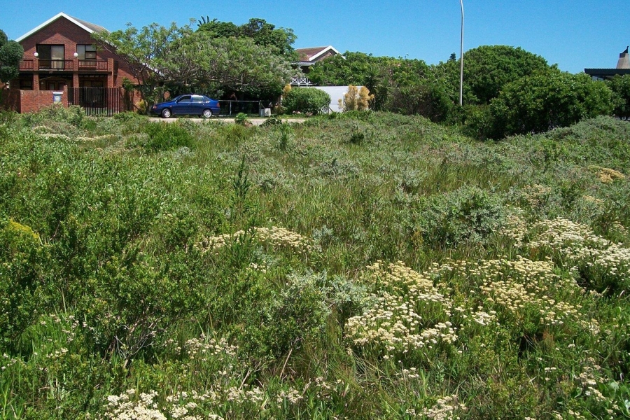 0 Bedroom Property for Sale in Kabeljauws Eastern Cape